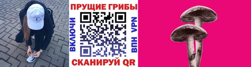 Псилоцибиновые грибы Magic Shrooms  Реутов 