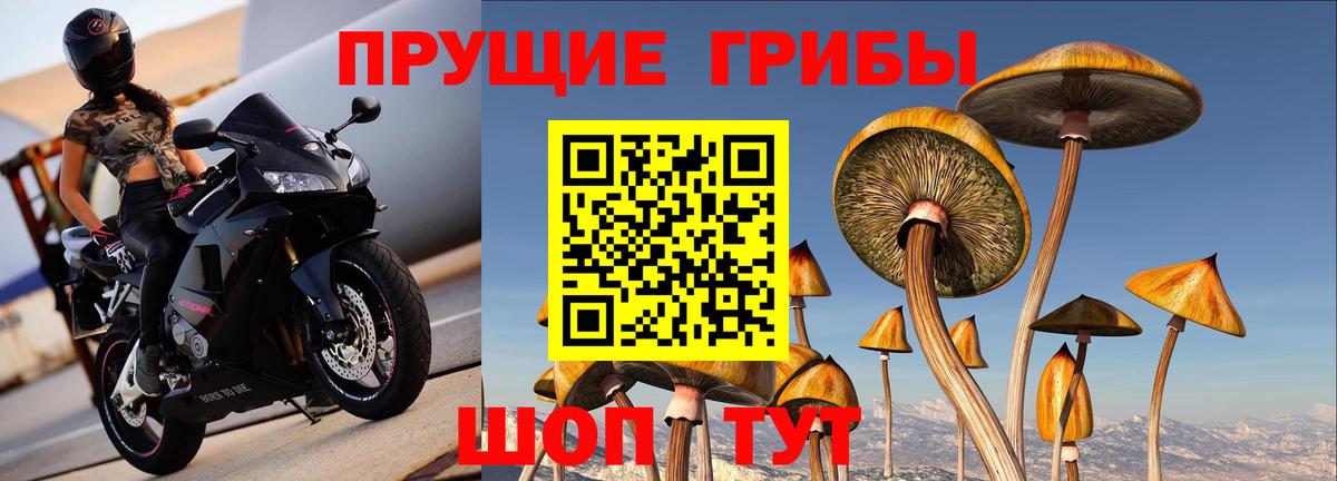 магазин продажи наркотиков  Псилоцибиновые грибы MAGIC MUSHROOMS  Вход с VPN  Реутов 